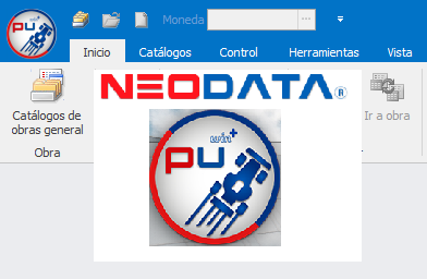 NEODATA 2024